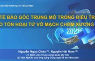 Tế bào gốc trung mô trong điều trị bảo tồn hoại tử vô mạch chỏm xương đùi