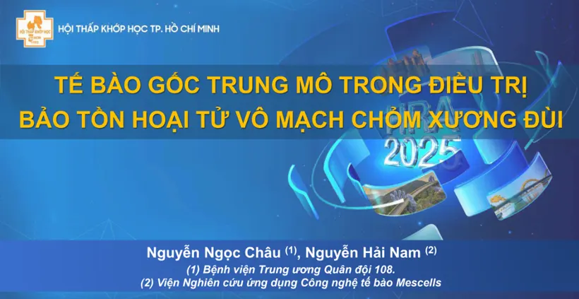 Tế bào gốc trung mô trong điều trị bảo tồn hoại tử vô mạch chỏm xương đùi